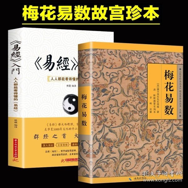 全2册 易经入门+梅花易数周易经全集正版白话版文基础知识入门书曾仕强详