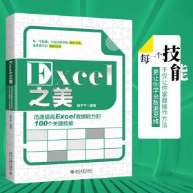 Excel之美：迅速提高Excel数据能力的100个关键技能 表处理软件 胡子平 著 北京大学出版社9787301320945