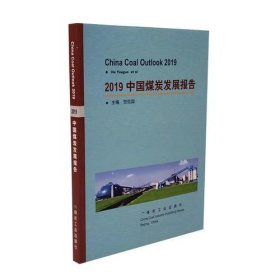正版2019中国煤炭发展报告
