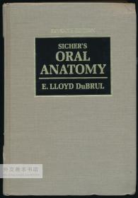 Sicher's Oral Anatomy 英文原版-《西谢尔口腔解剖学》