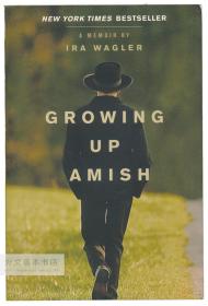 Growing Up Amish 英文原版-《一个阿米什人的成长》