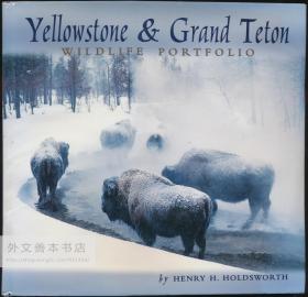 Yellowstone & Grand Teton Wildlife 英文原版-《黄石公园和大提顿野生动物公园》