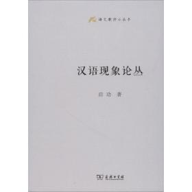 汉语现象论丛