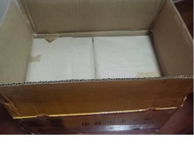 双林寺彩塑佛像  全17册  （）