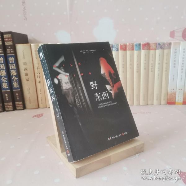 野东西[美]乔许·贝佐（josh bazell） 著 湖南文艺出版社 2014 04 平装书海洋