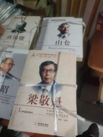 二十世纪中国著名科学家书系：梁敬魁
