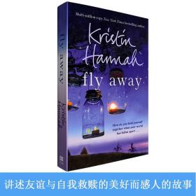 现货英文原版再见萤火虫小巷Fly Away克莉丝汀汉娜Kristin Hannah畅销小说