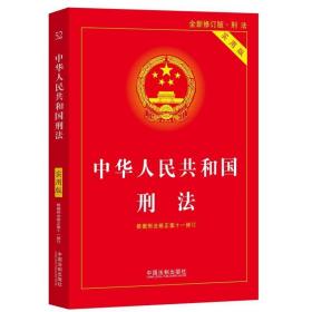 【2021新版】中华人民共和国刑法实用版 第九版 根据刑法修正案十