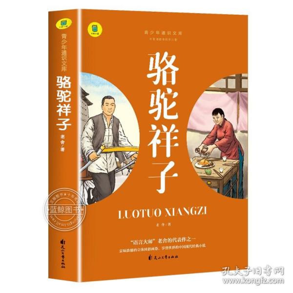 通识文库--骆驼祥子+海底两万里【全2册】中国现代经典小说 名著阅读旁批旁注版 中国经典文学作品 世界名著阅读 青少年通识文库 中学生课外阅读书籍 7-9年级中学生课外阅读绘画书