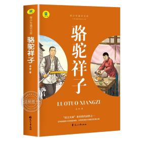 通识文库--骆驼祥子+海底两万里【全2册】中国现代经典小说 名著阅读旁批旁注版 中国经典文学作品 世界名著阅读 青少年通识文库 中学生课外阅读书籍 7-9年级中学生课外阅读绘画书