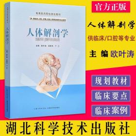 人体解剖学 欧叶涛 田顺亮 于兰主编 湖北科学技术出版社 9787570620463