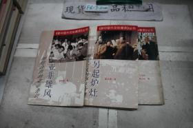 新中国外交纵横录丛书：亚非雄风:另起炉灶:峰峦迭起(3本合售)