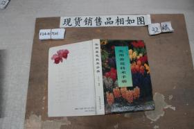 實用養花技術手冊