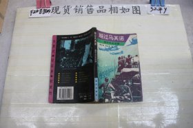 ~越过马其诺：德军攻击法国