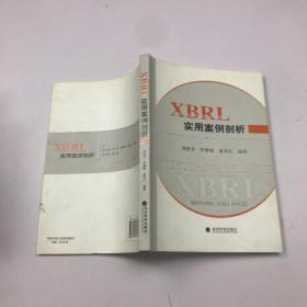 XBRL实用案例剖析