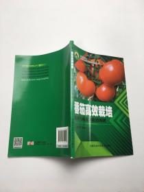 番茄高效栽培技术与病虫害防治图谱