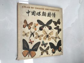中国蝶类图谱