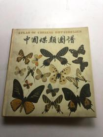 中国蝶类图谱