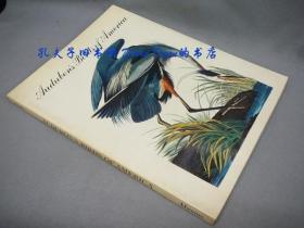 Audubon's Birds of America[KMRB]
