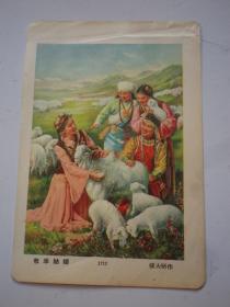 牧羊姑娘   张大昕