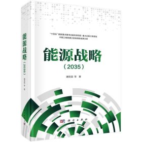 能源战略(2035) 谢克昌科学出版社9787030748836