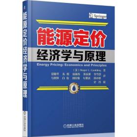 能源定價經濟學與原理 9787111441496 (美)康克林　著,夏曉華　等