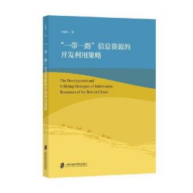 一带一路信息资源的开发利用策略 丁波涛上海社会科学院出版社