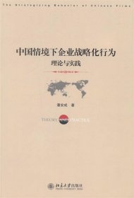 中国情境下企业战略化行为:理论与实践:theory and practice 潘安