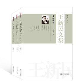 王新民文集（全3册） 王新民武汉大学出版社9787307215405