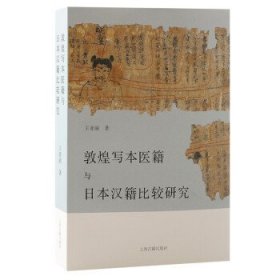 敦煌写本医籍与日本汉籍比较研究 王亚丽上海古籍出版社