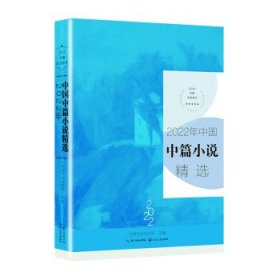 2022年中国中篇小说精选 中国作协创研部长江文艺出版社