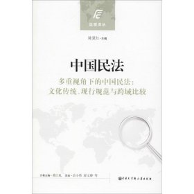 中国民法:多重视角下的中国民法:文化传统、现行规范与跨域比较