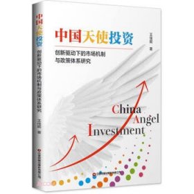 中国天使投资:创新驱动下的市场机制与政策体系研究 王佳妮中国财