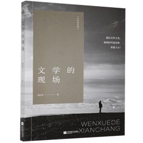 文学的现场文学的可能 杨庆祥江苏凤凰文艺出版社9787559451460