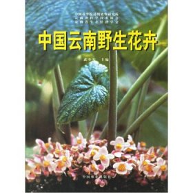 中国云南野生花卉 武全安中国林业出版社9787503821950
