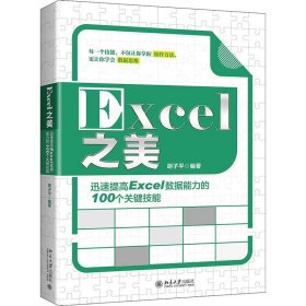 Excel之美:迅速提高Excel数据能力的100个关键技能 胡子平北京大