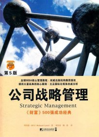 公司战略管理 (英)林奇　著,钟含春,陈涛　译中国市场出版社