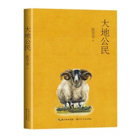 大地公民 张羊羊长江文艺出版社9787570221714