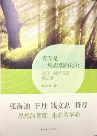 青春是一场思想的远行:文化与经济现象微思考 赵宇辉中国青年出版