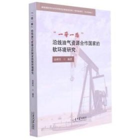 “一带一路”沿线油气资源合作国家的软环境研究 高新伟山东大学