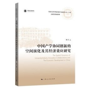 中国产学协同创新的空间演化及其经济效应研究 杨凡上海人民出版
