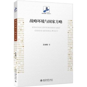 战略环境与国家方略 王存刚北京大学出版社9787301275269
