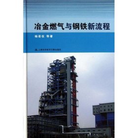 冶金燃气与钢铁新流程 杨若仪 等上海科技文献出版社