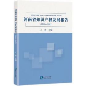 河南省知识产权发展报告(2020-2021) 王肃知识产权出版社