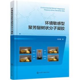 环境敏感型聚芳醚树状分子凝胶 刘志雄化学工业出版社