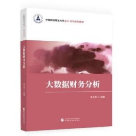 大数据财务分析 袁天荣中国财政经济出版社9787522313801