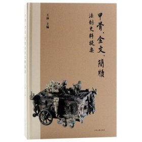 甲骨、金文、简牍法制史料提要 王沛上海古籍出版社9787573202819