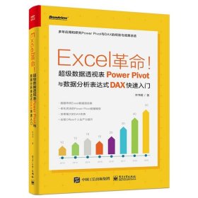 Excel革命！超级数据透视表Power Pivot与数据分析表达式DAX快速