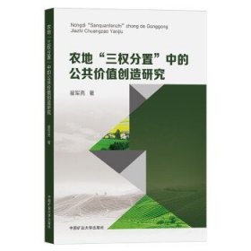 农地“三权分置”中的公共价值创造研究 翟军亮中国矿业大学出版