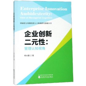 企业创新二元性:管理认知视角 杨大鹏经济科学出版社
